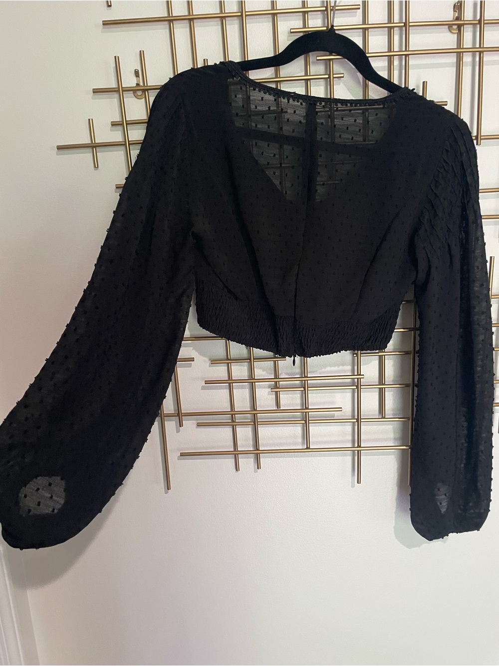 Sheer Swiss Dot Black Long-Sleeve puff princess sleeve Cropped Top